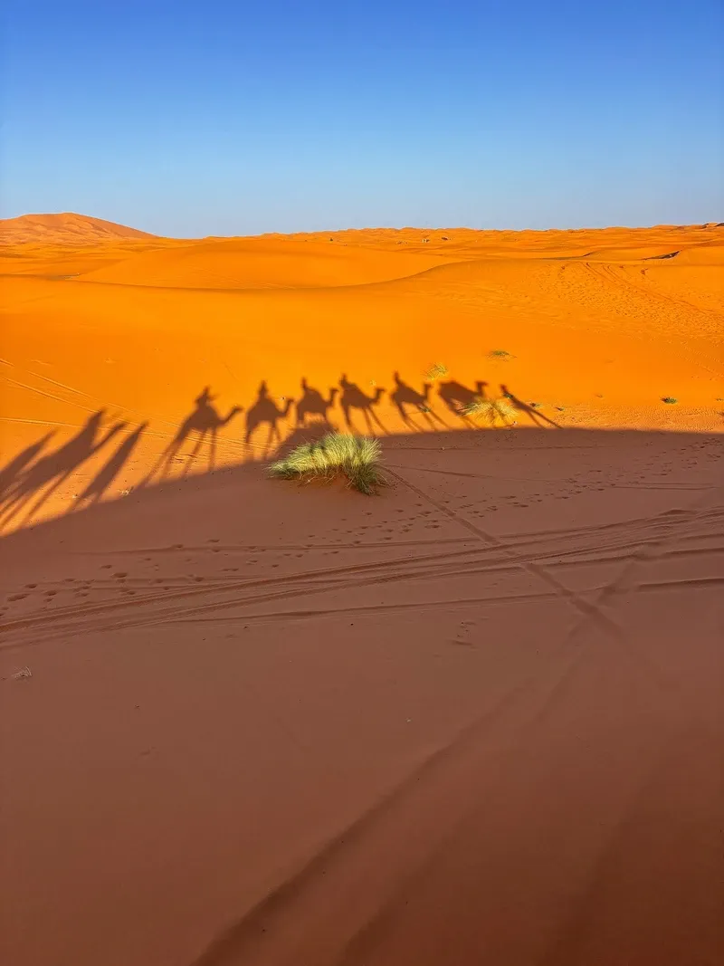 Merzouga Desert view 1