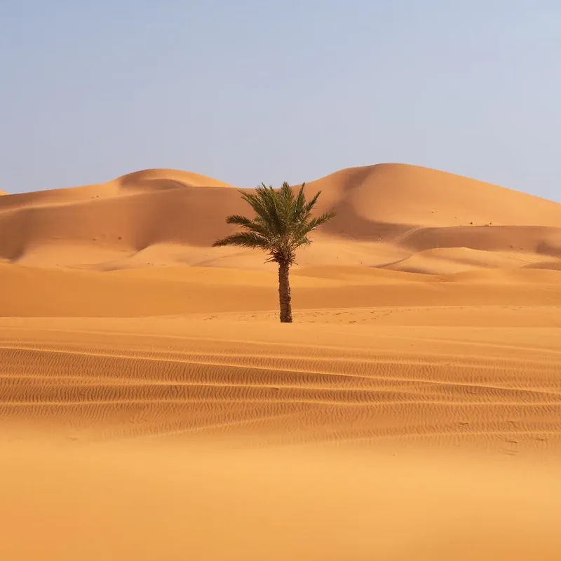 Merzouga Desert view 2